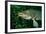 Pike Head (Esox Lucius).-Reinhard Dirscherl-Framed Photographic Print