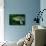 Pike Head (Esox Lucius).-Reinhard Dirscherl-Mounted Photographic Print displayed on a wall