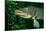 Pike Head (Esox Lucius).-Reinhard Dirscherl-Mounted Photographic Print