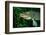 Pike Head (Esox Lucius).-Reinhard Dirscherl-Framed Photographic Print