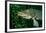 Pike Head (Esox Lucius).-Reinhard Dirscherl-Framed Photographic Print