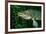 Pike Head (Esox Lucius).-Reinhard Dirscherl-Framed Photographic Print