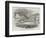 Pike-Headed Rorqual Whale Taken in the Dart-null-Framed Giclee Print