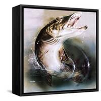 Pike Leaping-English School-Framed Stretched Canvas