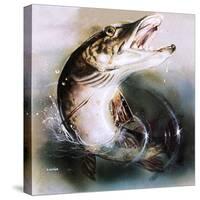 Pike Leaping-English School-Stretched Canvas