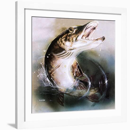 Pike Leaping-English School-Framed Giclee Print