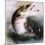 Pike Leaping-English School-Mounted Giclee Print