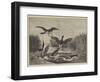 Pike on the Feed-null-Framed Giclee Print