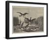 Pike on the Feed-null-Framed Giclee Print