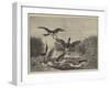 Pike on the Feed-null-Framed Giclee Print