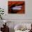 Pike's Peak Framed Through a Rock Window, Colorado, USA-Jerry Ginsberg-Photographic Print displayed on a wall