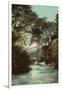Pike's Peak from Briarhurst, C.1898-C.1905-null-Framed Giclee Print