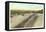 Pike's Peak Highway, Colorado-null-Framed Stretched Canvas