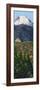 Pike's Peak in Summer-James W. Johnson-Framed Giclee Print