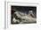 Pike's Peak Summit, Winter-null-Framed Art Print