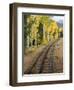 Pikes Peak Cog Railway, Manitou Springs, Colorado Springs, Colorado, USA-Cindy Miller Hopkins-Framed Photographic Print