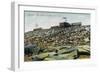 Pikes Peak, Colorado - Panoramic View of Cog Rail Train Ascending-Lantern Press-Framed Art Print