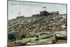 Pikes Peak, Colorado - Panoramic View of Cog Rail Train Ascending-Lantern Press-Mounted Art Print