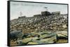 Pikes Peak, Colorado - Panoramic View of Cog Rail Train Ascending-Lantern Press-Framed Stretched Canvas