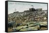 Pikes Peak, Colorado - Panoramic View of Cog Rail Train Ascending-Lantern Press-Framed Stretched Canvas