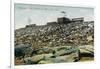 Pikes Peak, Colorado - Panoramic View of Cog Rail Train Ascending-Lantern Press-Framed Art Print