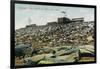 Pikes Peak, Colorado - Panoramic View of Cog Rail Train Ascending-Lantern Press-Framed Art Print