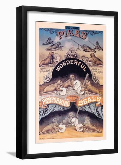 Pikes Wonderful Performing Seals-null-Framed Art Print