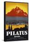 Pilatus Poster-null-Framed Stretched Canvas