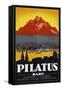 Pilatus Poster-null-Framed Stretched Canvas