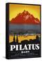 Pilatus Poster-null-Framed Stretched Canvas
