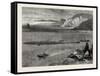 Pilchard Fishing of the Lizard, the South Coast, UK, 19th Century-null-Framed Stretched Canvas