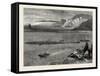 Pilchard Fishing of the Lizard, the South Coast, UK, 19th Century-null-Framed Stretched Canvas