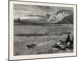 Pilchard Fishing of the Lizard, the South Coast, UK, 19th Century-null-Mounted Giclee Print