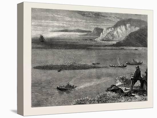 Pilchard Fishing of the Lizard, the South Coast, UK, 19th Century-null-Stretched Canvas