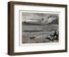 Pilchard Fishing of the Lizard, the South Coast, UK, 19th Century-null-Framed Premium Giclee Print