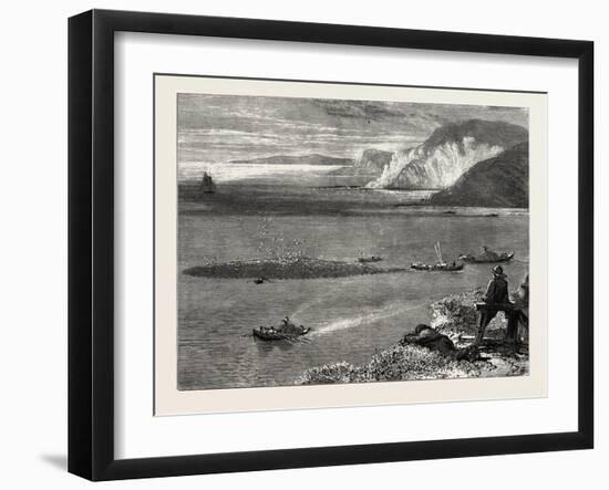 Pilchard Fishing Off the Lizard, UK-null-Framed Giclee Print