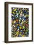 Pile of glass marbles, Williamsburg, Brooklyn, New York, Usa.-Julien McRoberts-Framed Photographic Print