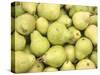 Pile of Pears-null-Stretched Canvas