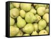 Pile of Pears-null-Framed Stretched Canvas
