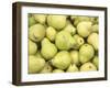 Pile of Pears-null-Framed Photographic Print