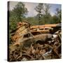 Pile of Rusted Car Shells in an Automobile Junkyard-Walker Evans-Stretched Canvas