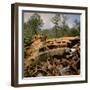 Pile of Rusted Car Shells in an Automobile Junkyard-Walker Evans-Framed Photographic Print