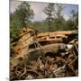 Pile of Rusted Car Shells in an Automobile Junkyard-Walker Evans-Mounted Photographic Print