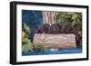 Pile of Sleeping Labrador Retriever Puppies-Zandria Muench Beraldo-Framed Photographic Print