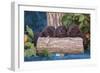 Pile of Sleeping Labrador Retriever Puppies-Zandria Muench Beraldo-Framed Photographic Print