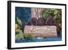 Pile of Sleeping Labrador Retriever Puppies-Zandria Muench Beraldo-Framed Photographic Print