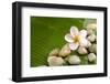 Pile of Stones with Frangipani on Banana Leaf-crystalfoto-Framed Photographic Print