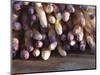 Pile of White Asparagus, Clos Des Iles, Le Brusc, Cote d'Azur, Var, France-Per Karlsson-Mounted Photographic Print