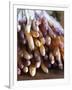 Pile of White Asparagus, Clos Des Iles, Le Brusc, Cote d'Azur, Var, France-Per Karlsson-Framed Photographic Print