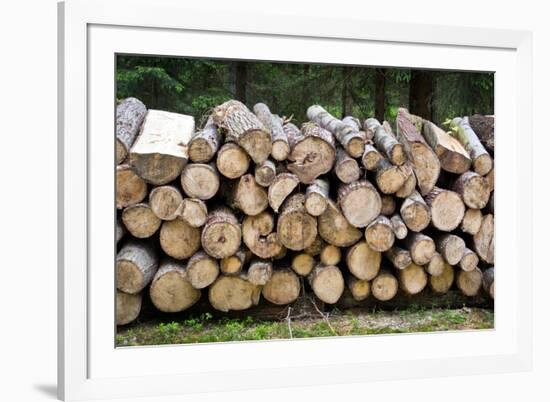 Pile of Wood Logs Ready for Winter-Madredus-Framed Photographic Print